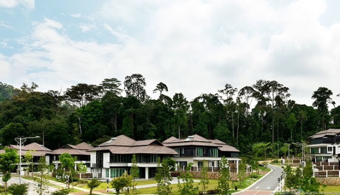 the rainforest villas